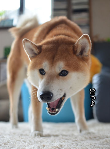 30日ブログ5.jpg