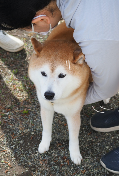 11日夕ブログ８