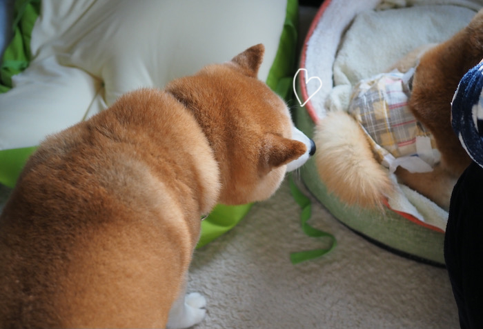 11日ブログ４