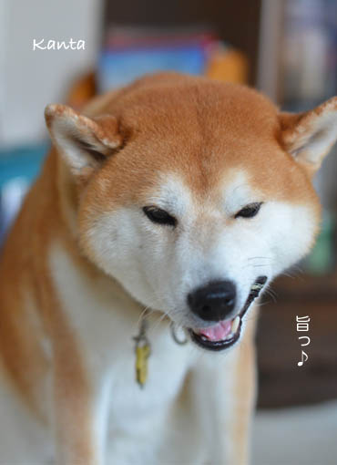 23日ブログ9.jpg