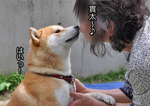 28日ブログ7.jpg