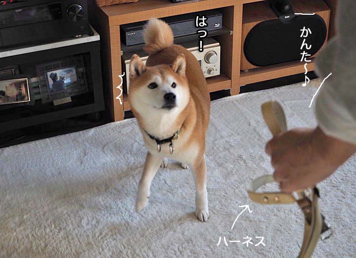 30日ブログ４