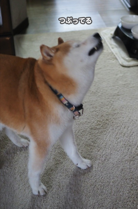 22日ブログ５