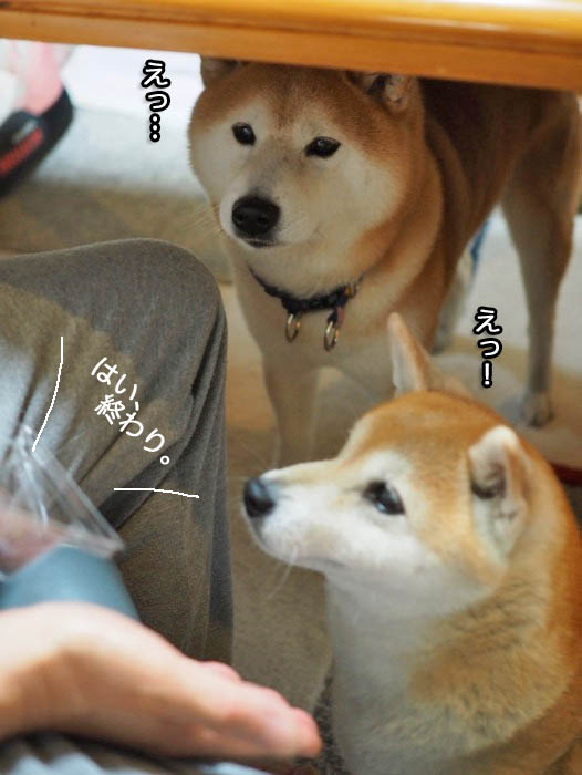 23日夜ブログ７