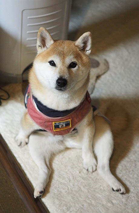 25日ブログ１