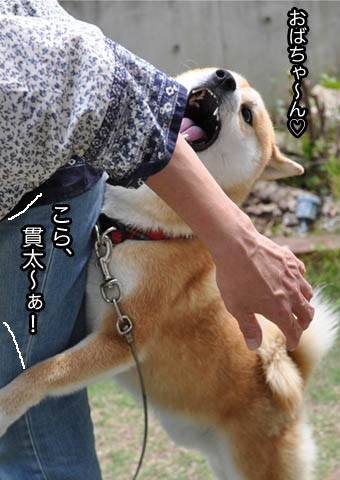 28日ブログ8.jpg