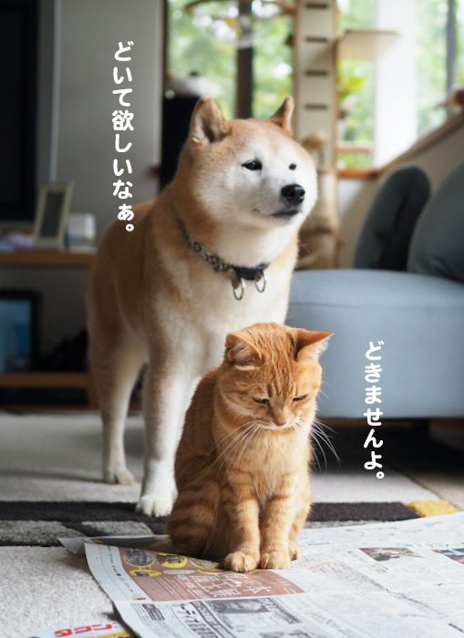 3日ブログ３