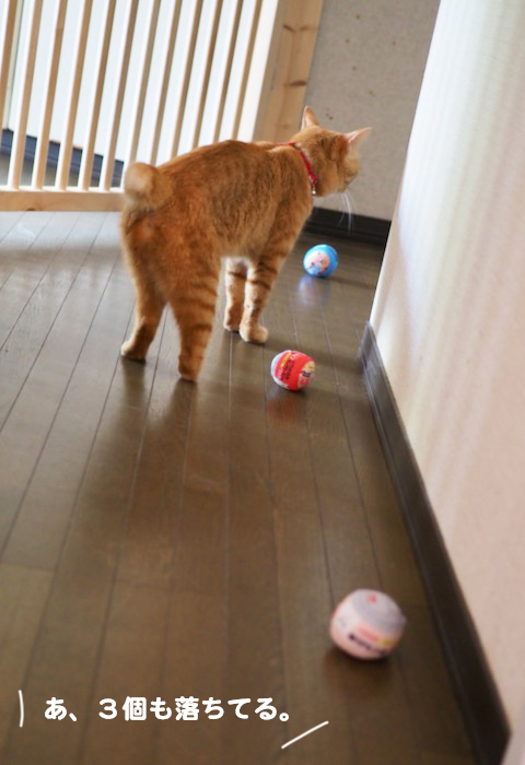 8日夕ブログ２