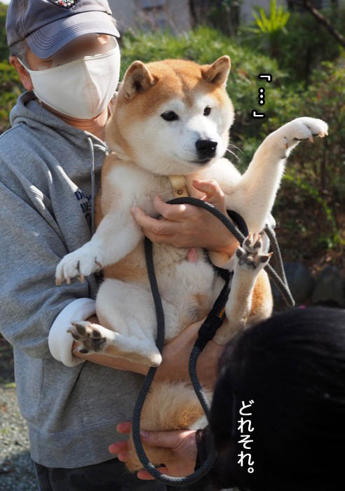 9日夜ブログ６