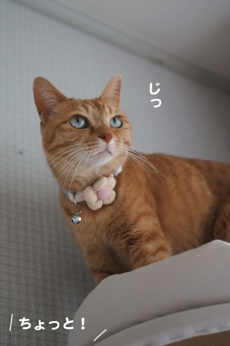 3日夕ブログ７