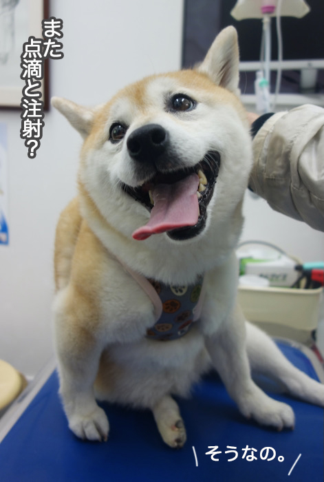23日夜ブログ５