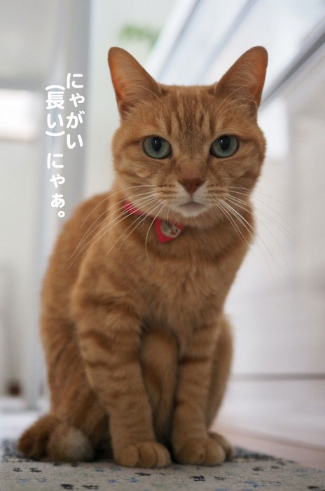 16日夕ブログ3