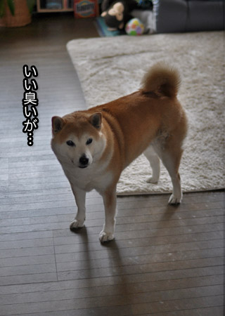 19日ブログ４.jpg