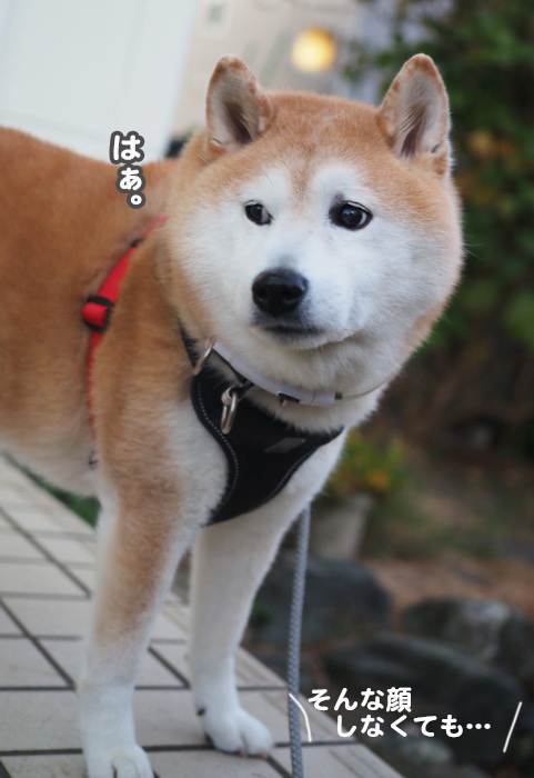 24日夕ブログ４
