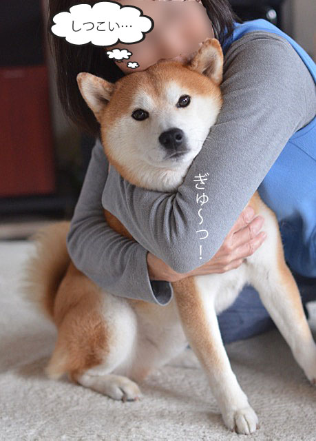 19日ブログ7