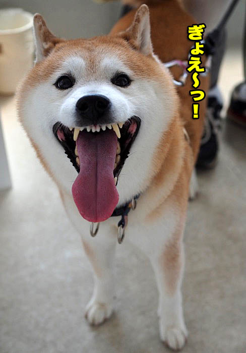 17日夜ブログ２
