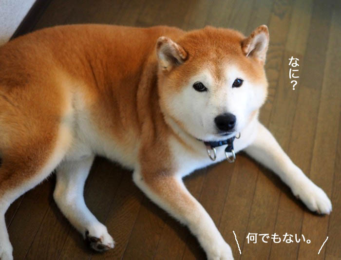 5日ブログ２