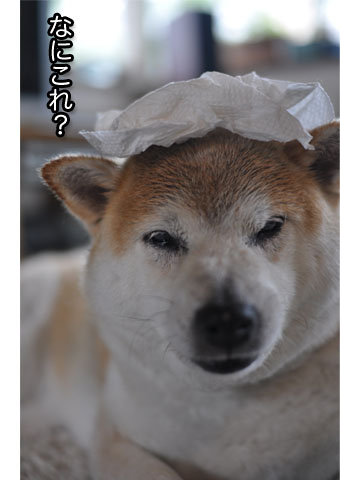 22日ブログ12.jpg