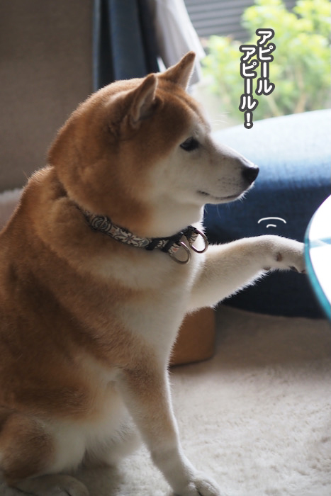 26日夜ブログ６