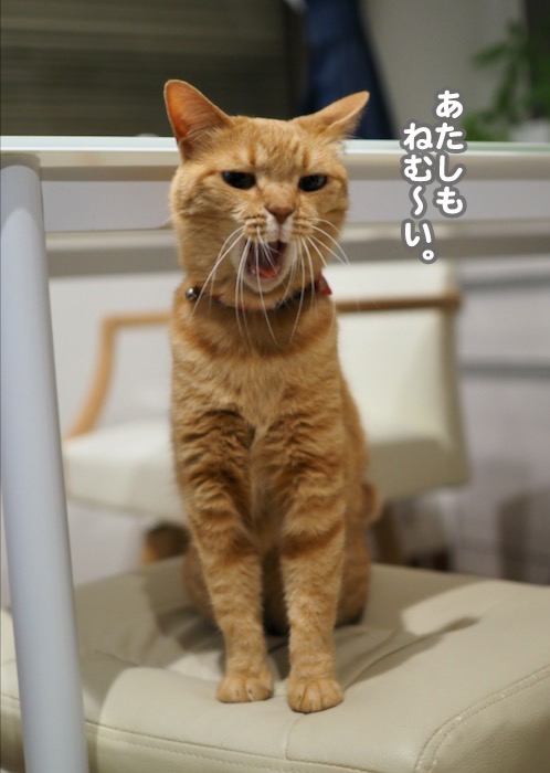 14日午前ブログ３