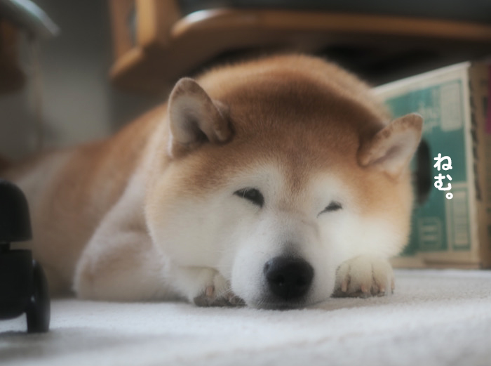 16日ブログ３