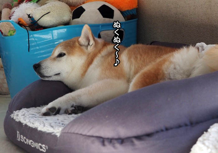 3日ブログ２
