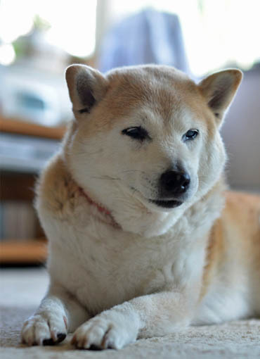 27日ブログ2.jpg