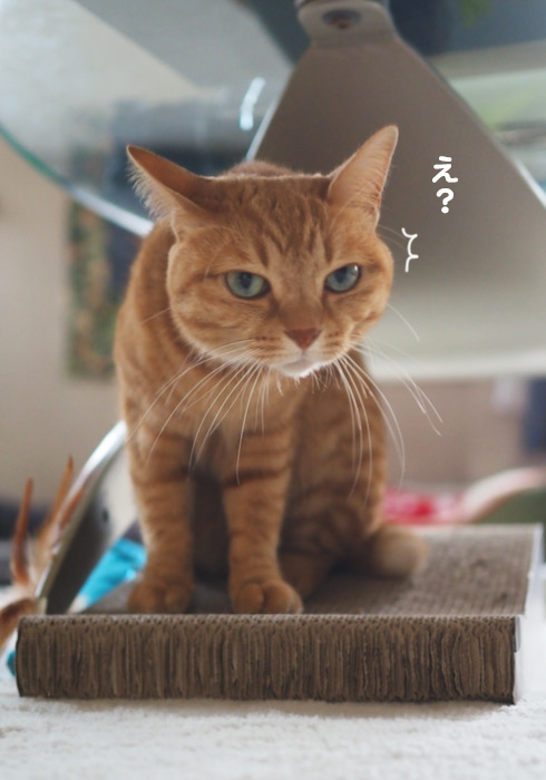 7日ブログ３