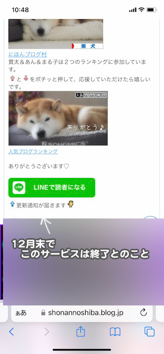 26日ブログ７
