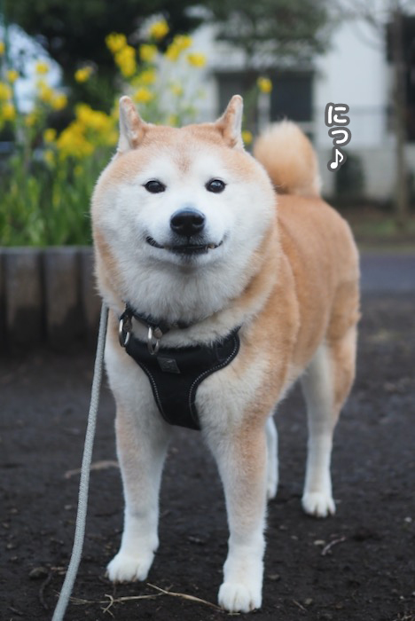 15日夕ブログ４