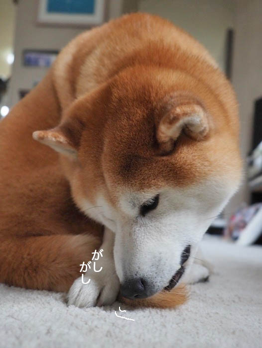 26日ブログ４