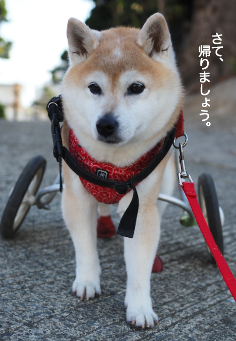 21日夜ブログ５