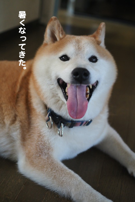 15日ブログ２