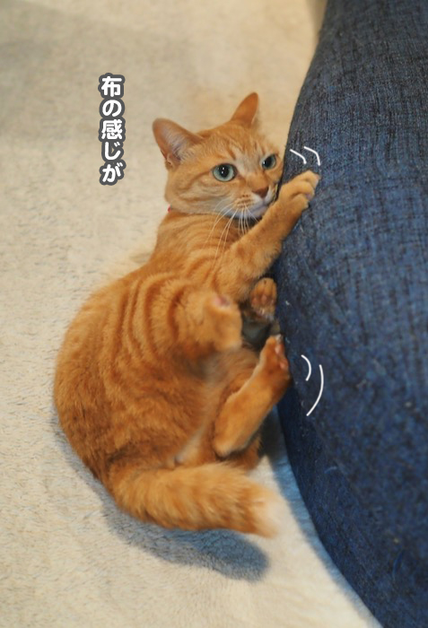 29日夕ブログ5