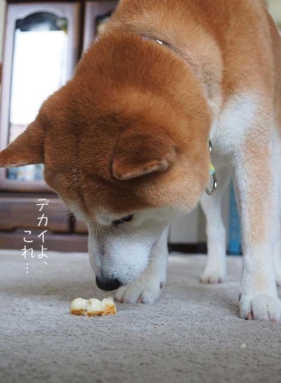 20日ブログ２３