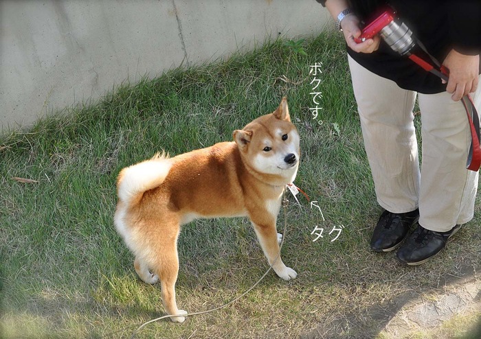 17日ブログ12