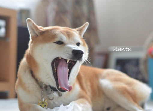22日ブログ3.jpg