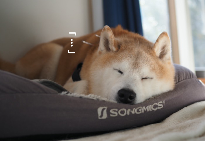 24日夕ブログ５