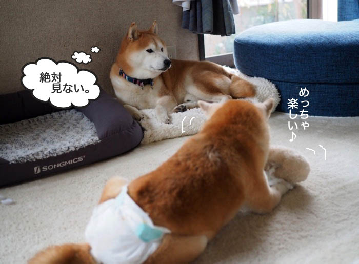 12日ブログ５