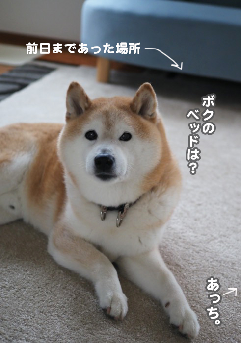 1日夕ブログ５
