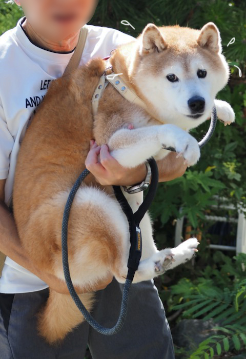 11日夕ブログ６