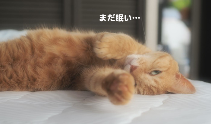 16日ブログ４