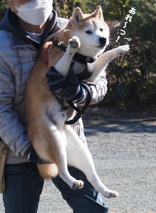 23日夕ブログ５