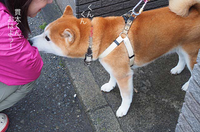 10日午前ブログ３