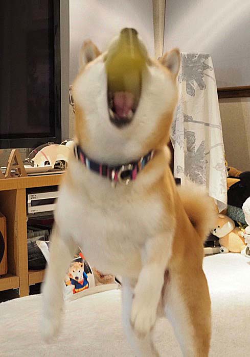 22日ブログ４