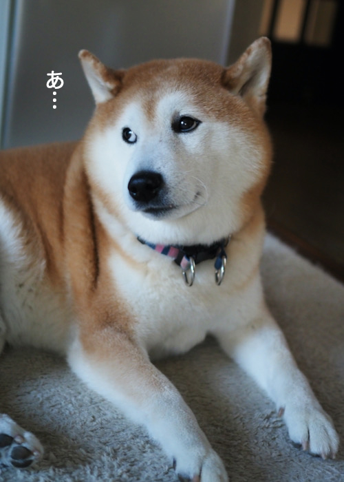 14日ブログ４