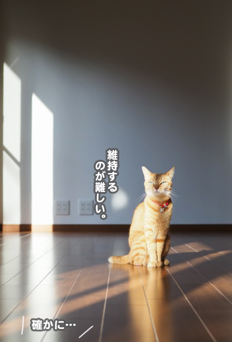 31日ブログ５