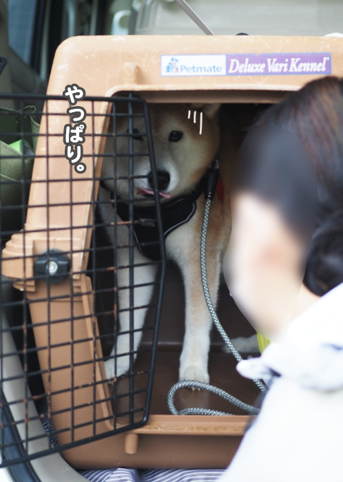 6日ブログ３