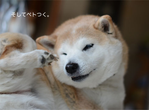 25日ブログ7.jpg