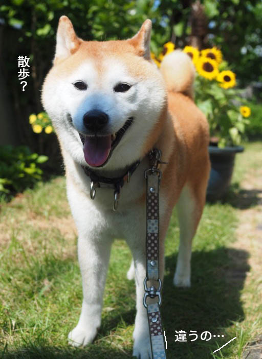 6日ブログ２